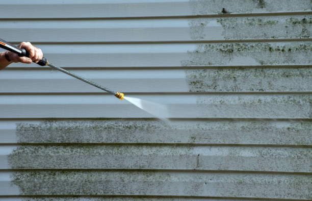 Professional Pressure Washing in La Grange, IL