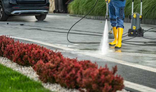 Local Pressure Washing Services in La Grange, IL