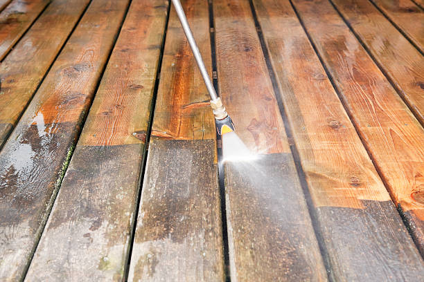 Best Roof Pressure Washing  in La Grange, IL