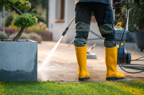 Best Commercial Building Pressure Washing  in La Grange, IL
